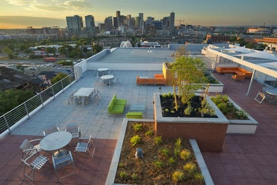 rooftop lounge